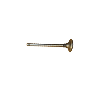 Exhaust valve TP145701